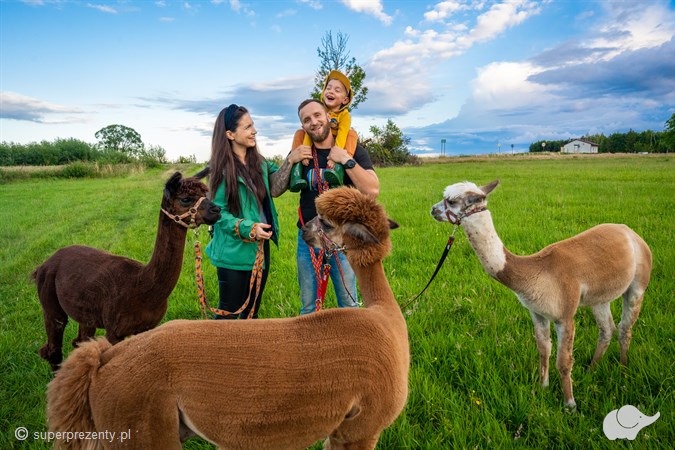 Spacer z alpakami wraz z wizyta w mini zoo - Lublin (Żuków)