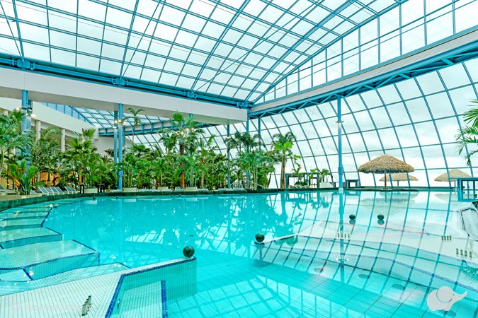 Całodniowe Tropikalne Wakacje pod Palmami w Suntago dla Dwojga