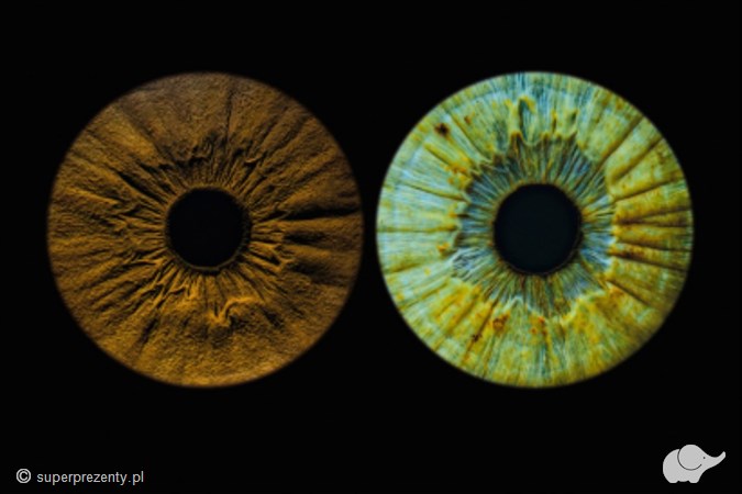 Artystyczne zdjęcia tęczówki oka w EYE GALLERY 